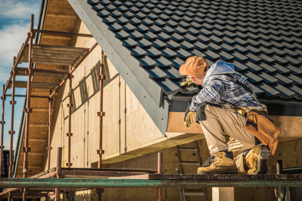 Best Roof Leak Repair  in Carrollton, AL