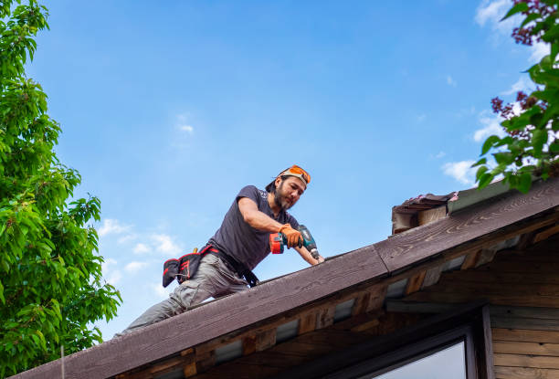 Best Roof Installation  in Carrollton, AL