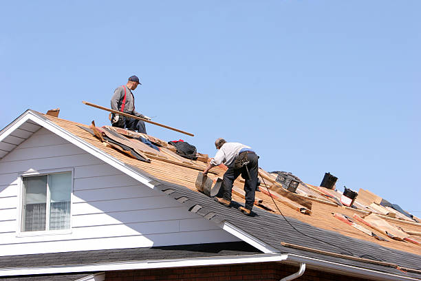 Best Metal Roofing Installation  in Carrollton, AL